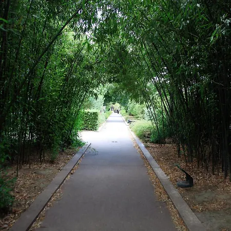 מלון Albe Bastille פריז